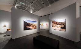 Leopold Fiala Photography