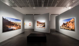 Leopold Fiala Photography