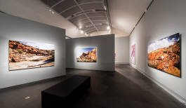 Leopold Fiala Photography