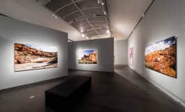 Leopold Fiala Photography