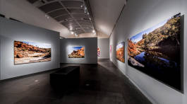 Leopold Fiala Photography