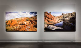 Leopold Fiala Photography