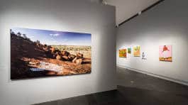 Leopold Fiala Photography