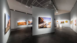 Leopold Fiala Photography