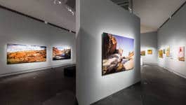 Leopold Fiala Photography