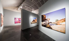 Leopold Fiala Photography