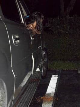 Leopold Fiala Photography