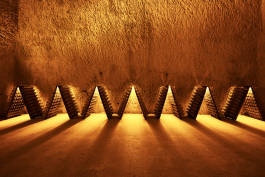 Leopold Fiala Photography