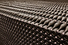 Leopold Fiala Photography