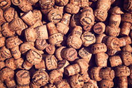 Leopold Fiala Photography