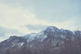 Leopold Fiala Photography