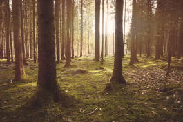 Leopold Fiala Photography