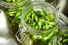 Leopold Fiala Photography