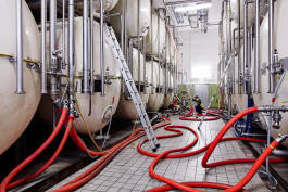 Leopold Fiala Photography