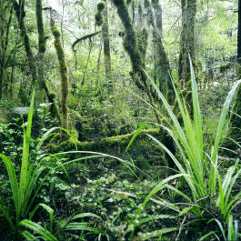 Leopold Fiala Photography