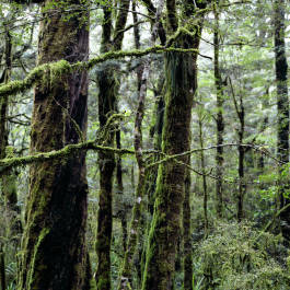 Leopold Fiala Photography