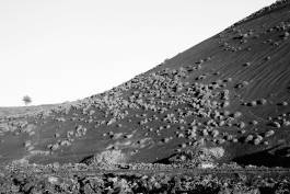 Leopold Fiala Photography