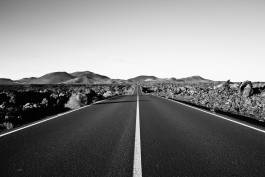 Leopold Fiala Photography