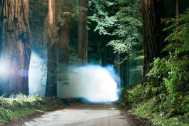 Leopold Fiala Photography