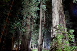 Leopold Fiala Photography