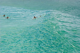 Leopold Fiala Photography