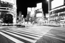 Leopold Fiala Photography