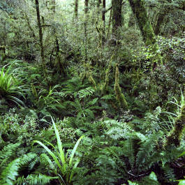 Leopold Fiala Photography