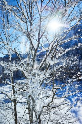 Leopold Fiala Photography