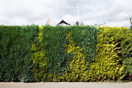 Leopold Fiala Photography