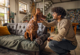 Man interacting with his dog sitting on couch 